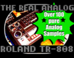 Thumbnail THE REAL ANALOG ROLAND TR 808 DRUM MACHINE SAMPLES